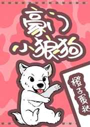 电脑屏幕vga no signal