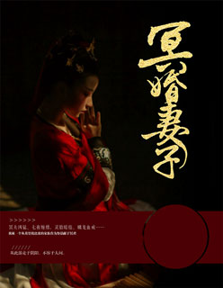 曰皮全部过程视频免费高清