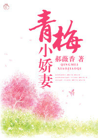 乡村大凶器txt