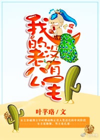 我的姐姐是美女txt下载