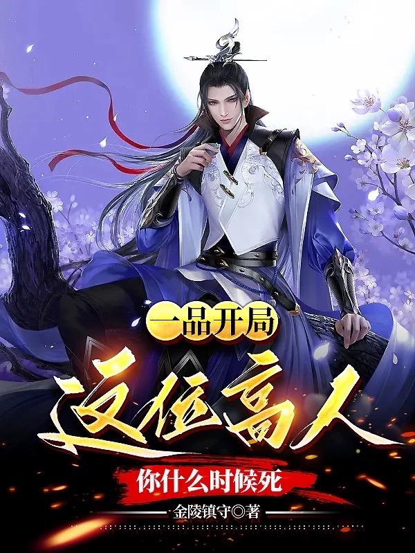 华丽的诱惑(韩剧)