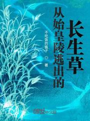 办公室ol诱惑