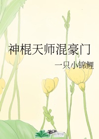 美红与王站长交换十七章