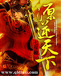 安暖叶景淮小说