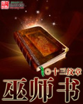 太阳部落组合