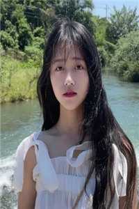 番茄的小说