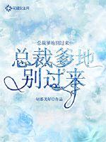 忍者传奇