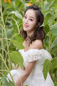 微信在线登录手机版