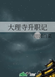 小宝寻花的视频