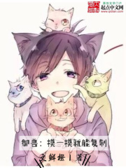 类似小家碧玉重口文