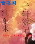 红楼之庶子风流txt下载