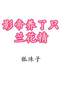 豪婿韩三千免费阅读全文