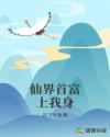 陆地夫妇