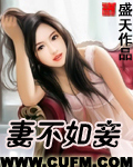 忘却的银狐