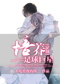 风流杨家将全文阅读