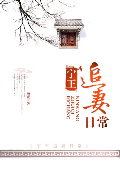 大宋奇案