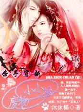 我的老婆是会长大人