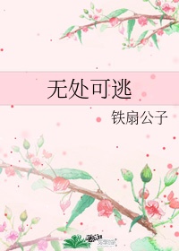 排球少年第一季免费