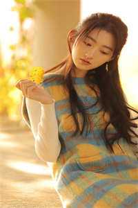 品花宝鉴小说