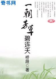 华丽教师
