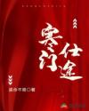 插淫