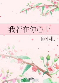 韩国美景之屋2在线观看