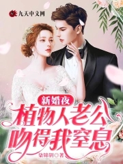 面包大王国语版全集1-41