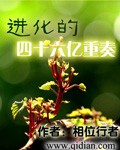 摸胸小说