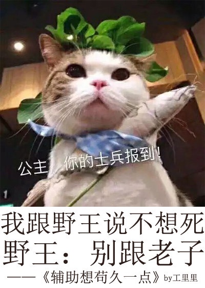 九千米的爱情