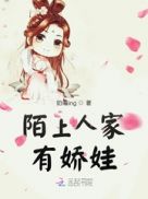 小说白洁全集