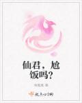 又黄又免费的视频