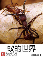 龙纹宝鼎