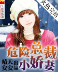 单身女子之夜