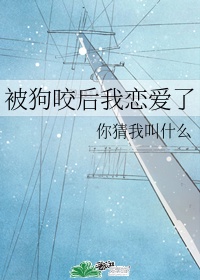 孙中山的老婆
