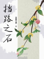 91轻量版破解ioses