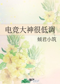 女人的战争之肮脏的交易电影