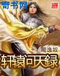 荆棘谷的青山一共多少页