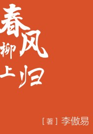 火力少年王第二部