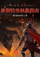 狂飙手机免费观看