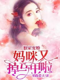 风花雪月完整版在线播放