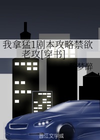 扫黑风暴多少集