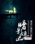大学门卫老董杜烟续作