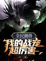 精品亚洲日韩一区二区午夜电影网