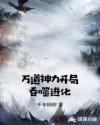 diskgenius下载