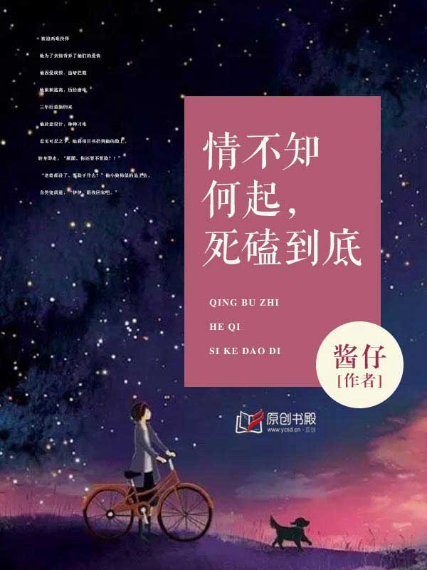 黄色小说故事