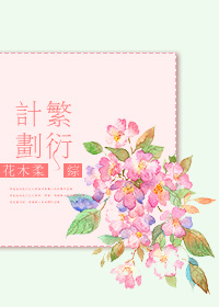 电梯小姐在线观看