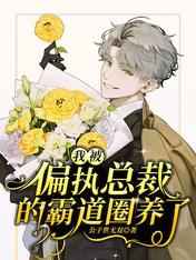 老师雅菲txt 免费小说