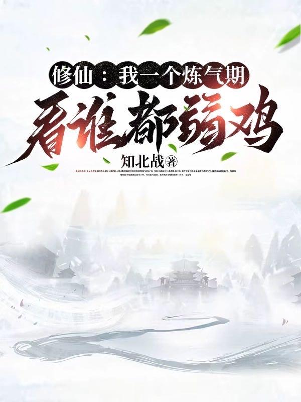 穿入中世纪