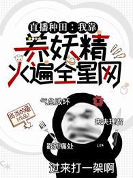 天泪传奇之凤凰传奇