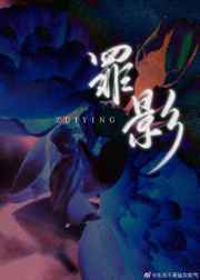 傅沉宋风晚小说